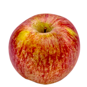 Scheda tecnica - Fuji