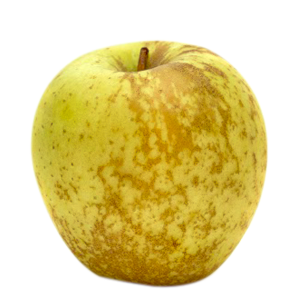 Scheda tecnica - Golden