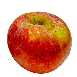 Scheda tecnica - Stayman