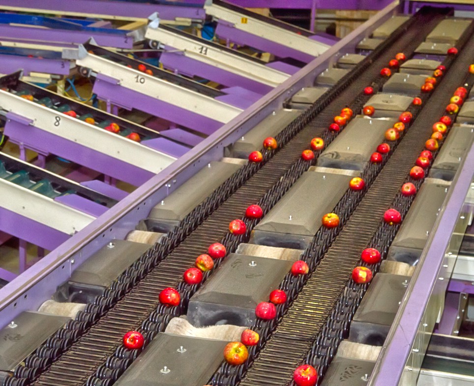 Stabilimento La Coccinella