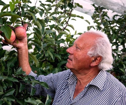 Stabilimento La Coccinella