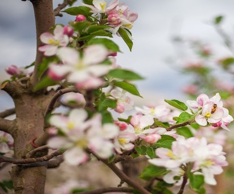 Stabilimento La Coccinella