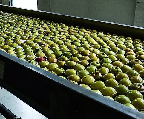 Stabilimento La Coccinella