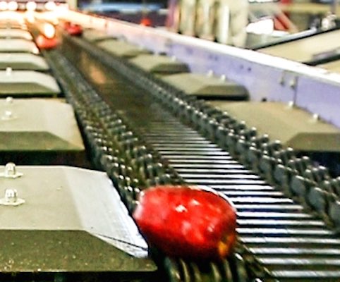 Stabilimento La Coccinella