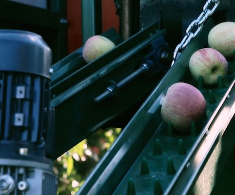 Stabilimento La Coccinella