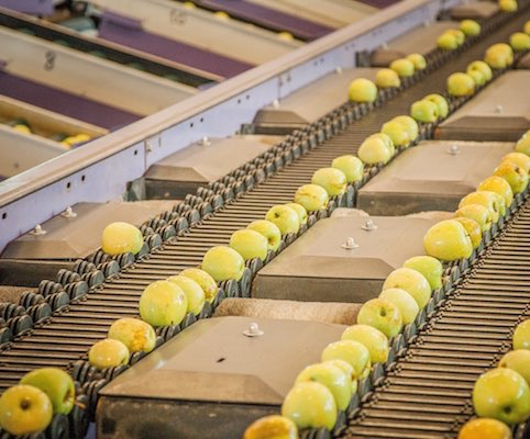 Stabilimento La Coccinella