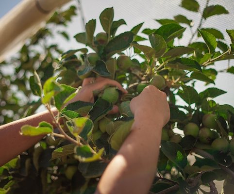 Stabilimento La Coccinella